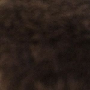 Meet your Posher, Arabella